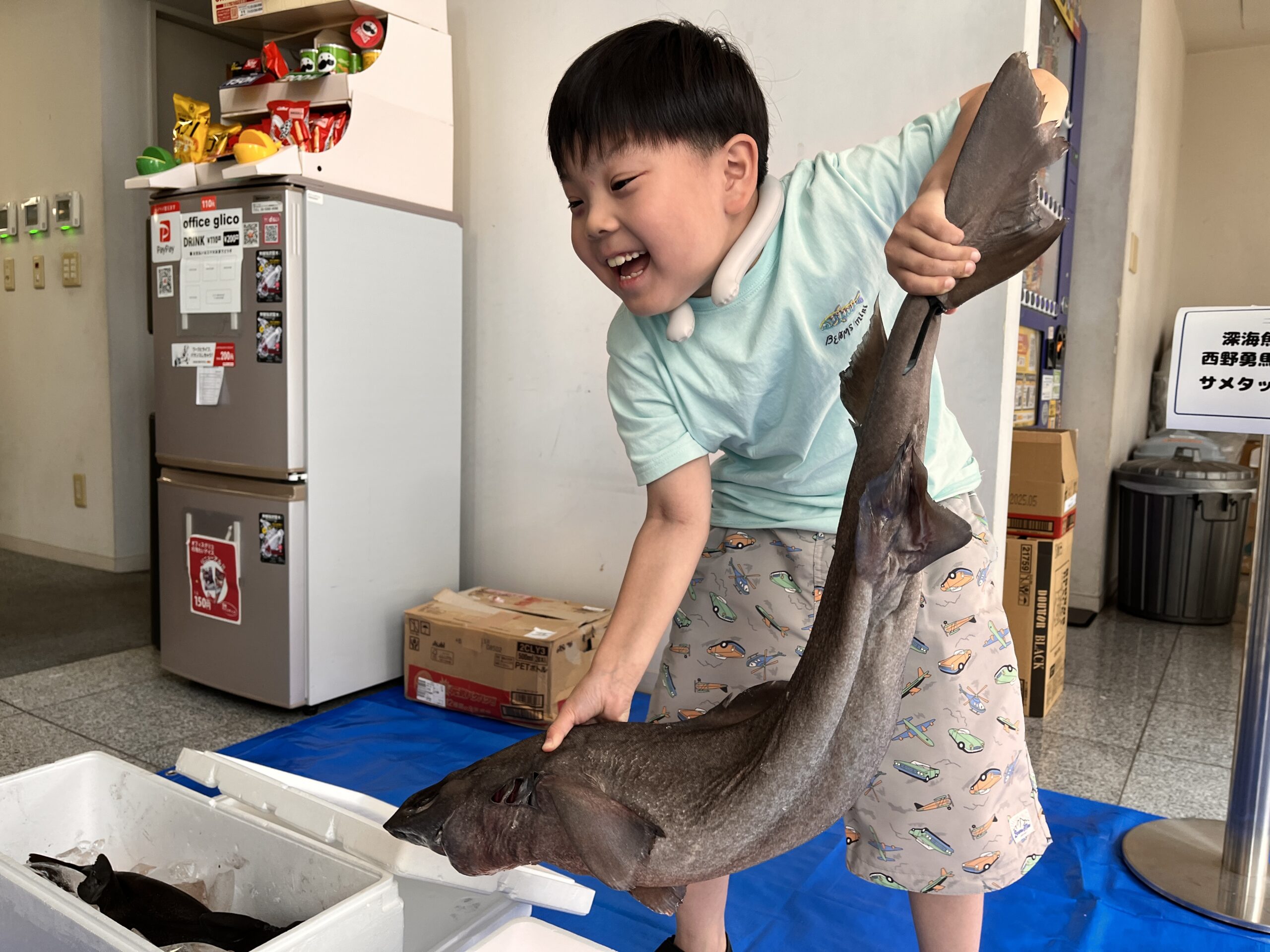 洋書◆サメの写真集 本 鮫 ジョーズ 動物 洋書◇サメの写真集 本 鮫 ジョーズ 動物 | 洋書堂