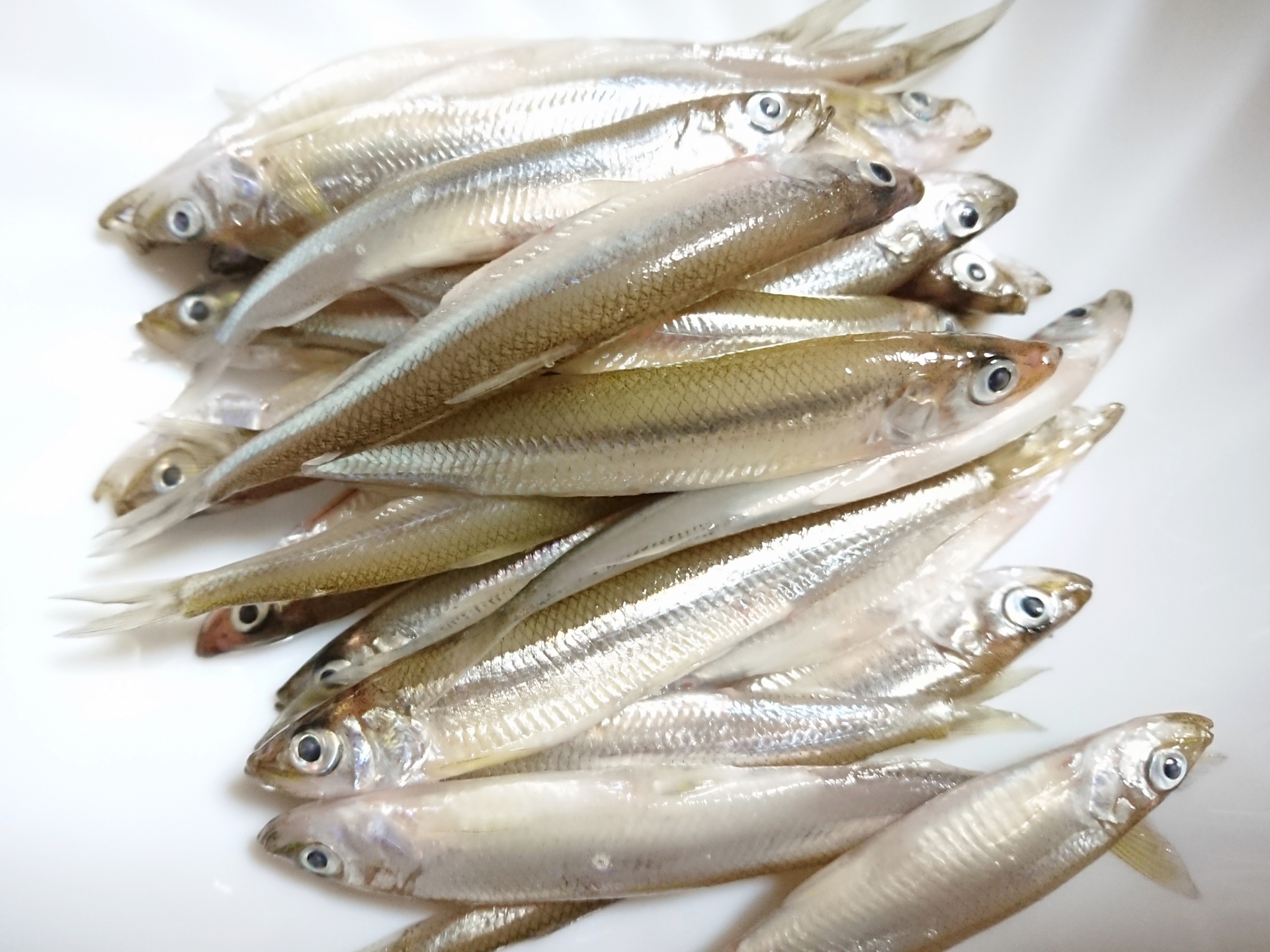 痛っ！」調理中に発見 スーパーで買ったワカサギのパックに入っていた