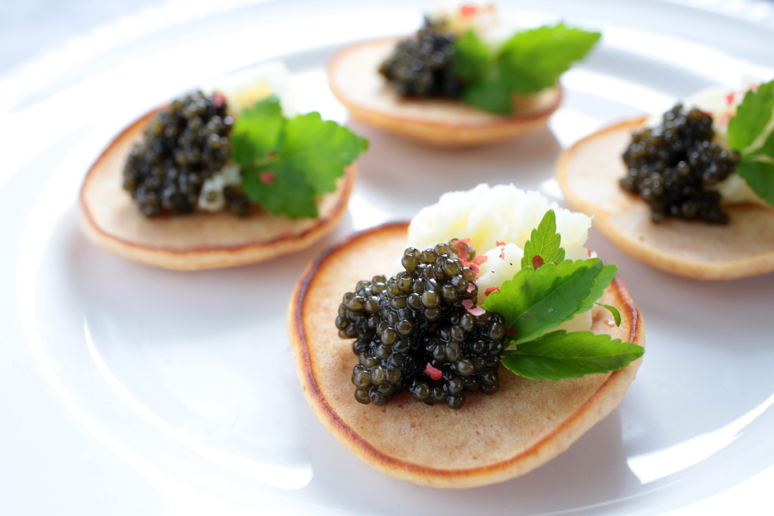 ふるさと納税 日南市 国産フレッシュキャビア「日南キャビア4g入り3個セット」 ふるさと納税 日南市 国産フレッシュキャビア「日南キャビア4g入り3個