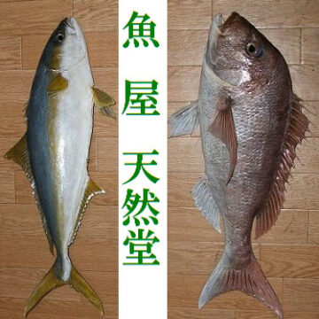 魚屋天然堂