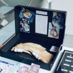 アカマンボウの“鯛の鯛”