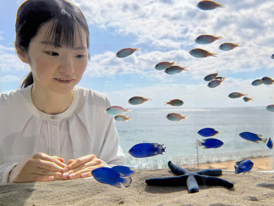 ネモフィラ”をモチーフにした青い魚とは？ アクアワールド・大洗