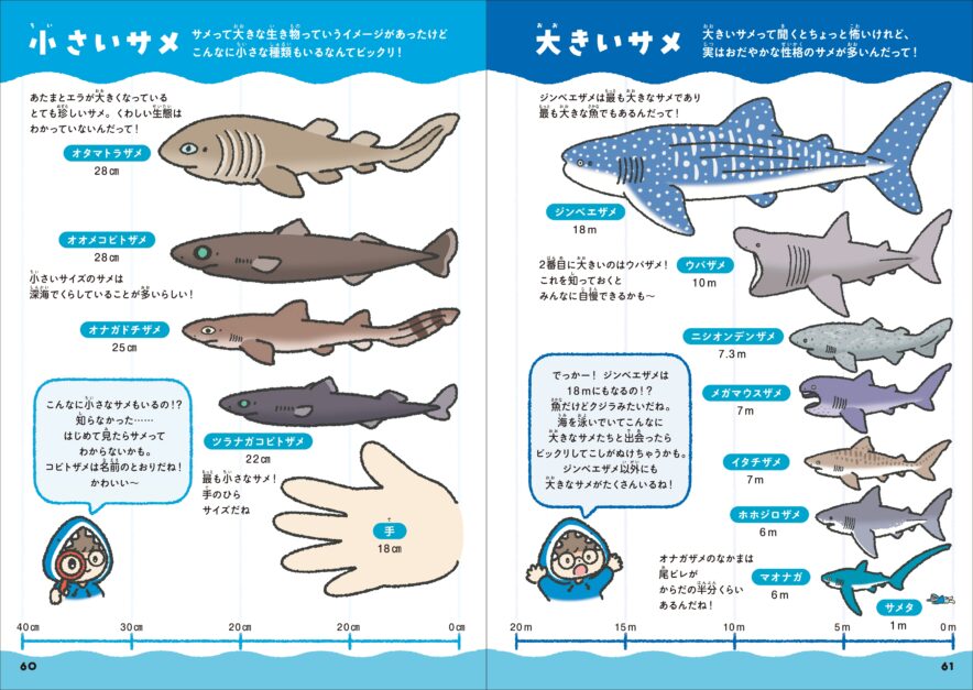 サメの魅力を比べて学ぶ『サメくらべ図鑑』発売へ 監修は「アクア